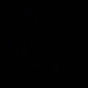 Meet your Posher, Cody